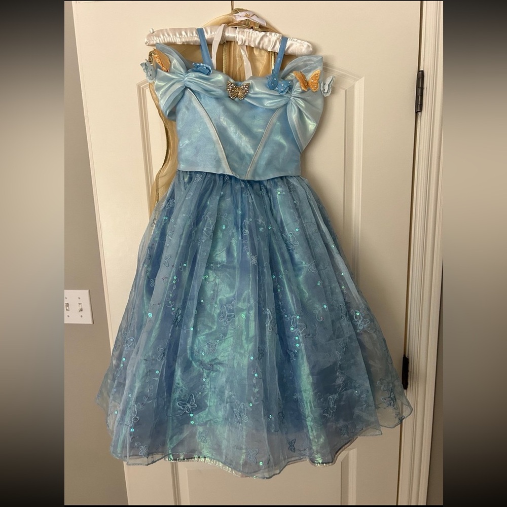Disney Deluxe Limited Edition cinderella Dress 1 of 3,500